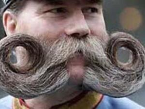 شارب بس محترم