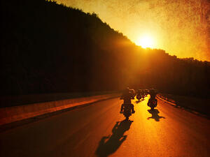 (Shutterstock/Anna Omelchenko)