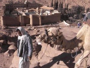 بدوي في سيناء