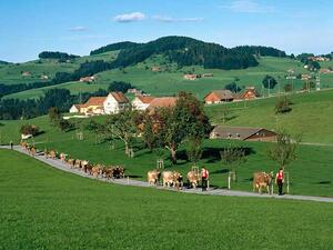 The quiet hills of rural Switzerland. 