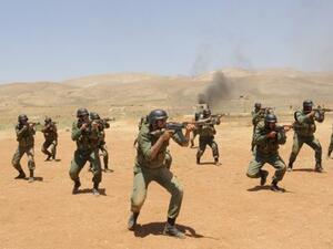 صورة بثتها وكالة الانباء السورية لمجموعة من قوات النظام خلال تدريب في منطقة لم يكشف النقاب عنها