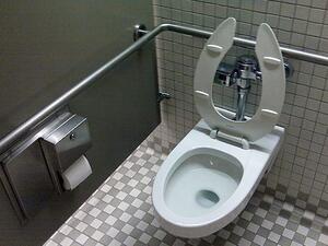toilets toilets