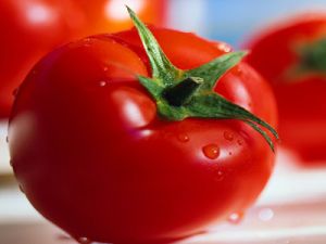 الوسيلة الاسرع للوصول الى الناخب 