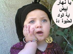 الصورة منقولة