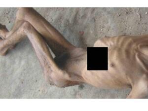 The pictures could be used to convict Bashar Assad of war crimes.