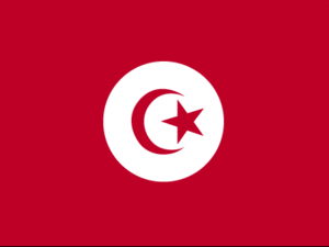Tunisia's national flag Tunisia's national flag