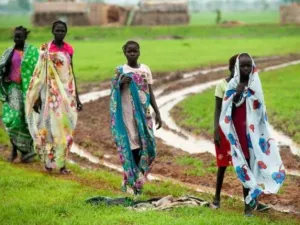 سودانيات يسرن في حقل في باريانغ في ولاية الوحدة 
