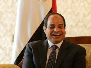 الوفد الذي التقاه السيسي ترأسه عزرا فريدلاندر

