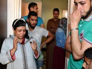 عائلة الطيار