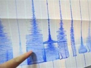  الزلزال يعد الاقوى الذى تشهده سواحل استراليا منذ مائة عام