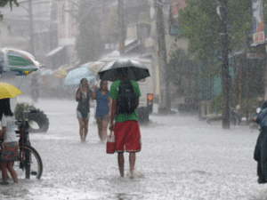 أجبر (أوتور) 31256 من السكان على الفرار من منازلهم، ودمر أكثر من 1500 منزل