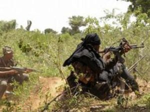 تنفي سريلانكا مرارا مزاعم بأن الجيش ارتكب جرائم حرب خلال المراحل النهائية من الصراع ضد متمردي التاميل