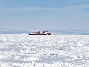  السفينة الصينية "سنو دراغون" تطوعت الأسبوع الماضي باستخدام مروحيتها لإجلاء 52 راكبا من السفينة الروسية