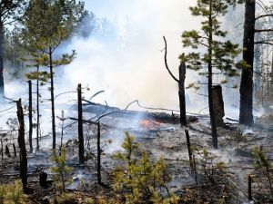 حرائق الغابات في شرقي روسيا