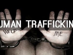 السلطات الأمنية المغربية تفكك 3 آلاف و94 شبكة للاتجار بالبشر