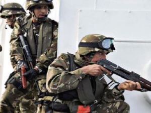 عملية عسكرية كبيرة في منطقة غابات شرقي العاصمة الجزائر