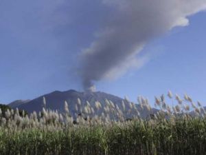 تضم أندونيسا الواقعة على “حزام النار” البركاني والزلزالي حول المحيط الهادئ، أكثر من 120 بركانا نشطًا