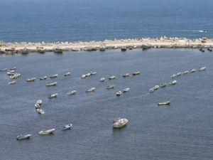 حماس: دعوة الأمم المتحدة تبدو وكأنها تعاون مع إسرائيل