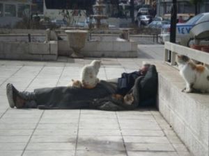 حد الفقر العام يبلغ680 دينارا في العام 
