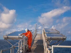 The move, by Norway's Sovereign Wealth Fund, is believed to help an emerging global campaign to move away from oil and towards renewable energies. (Shutterstock)