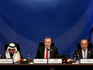 وزير خارجية مصر يتجنب مصافحة أردوغان 