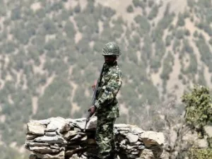 ارشيف