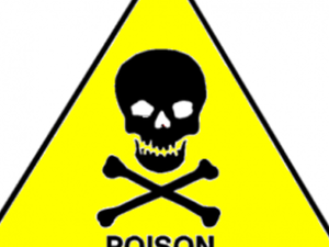 Suicide by rat poison is how one old man chose to escape the abuse