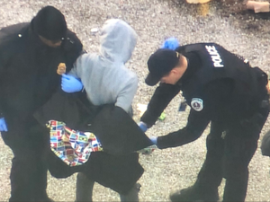 إصابة 3 أشخاص بإطلاق نار قرب مقر وكالة الأمن القومي في ميريلاند بالولايات المتحدة
