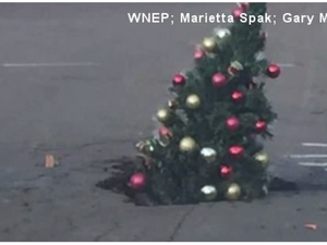 Christmas tree in pothole. (Screenshot)