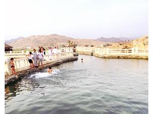 Hot springs and Dead Sea mud are rich in minerals, salts and other materials.