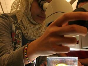 باحثة في المختبر
