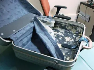 Customs inspectors await all smugglers regardless of the twisted smuggling techniques they might use