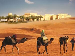 فندق تلال ليوا