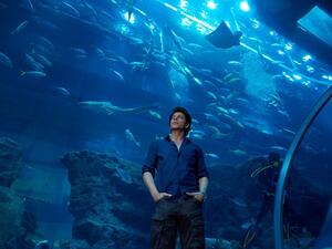 The mini series with a hero compilation has been shot across picturesque and iconic locations in the city.