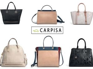 The Autumn/Winter 2014-15 Carpisa collection