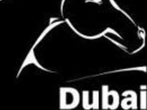 Dubai International Film Festival