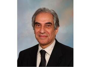 الدكتور حسين غريب، أستاذ الطب الباطني بكلية الطب التابعة لـ مايو كلينيك في الولايات المتحدة الأمريكية واختصاصي الغدد الصمّاء والسكري وأمراض الأيض في مدينة روتشستر بولاية مينيسوتا الأمريكية.