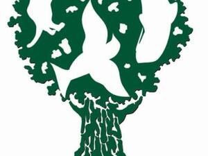 Environmental Grants