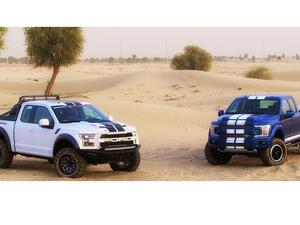 The F-150 Shelby is a stylish vehicle that offers more power and performance for cruising around town, whilst the Shelby Raptor Baja is made for extreme driving in off-road terrain.