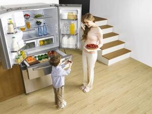 French door Refrigerator from samsung
