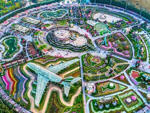 Dubai Miracle Garden, the world’s largest natural flower garden.