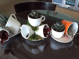 تعهد فندق سيتي سنتر روتانا الدوحة خلال الحدث بالعمل والالتزام بالمحافظة على البيئة من خلال تطبيقه لنظام الـ 3Rs.