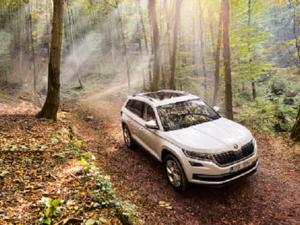 The new Skoda Kodiaq.