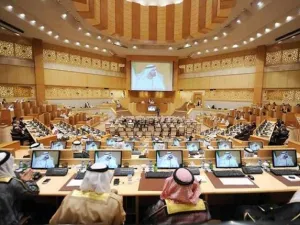 Federal National Council Members thus called for a push from the ministry to raise the level of employment among Emiratis in the private sector. (File / Photo)
