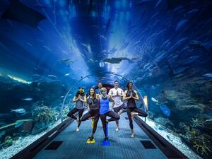 بإشراف خبراء متخصصين تم إعداد هذه الجلسات لتساعد المشاركين على إعادة التواصل مع حواسهم.