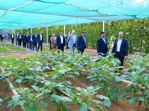 WHG at Ramada Ajman Urban Farm