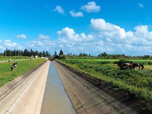 ADFD has allocated nearly AED3.2 billion towards development projects in the agricultural and irrigation sectors.