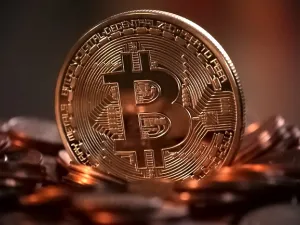Blockchain products tailored to the needs of a specific industry have already been adopted. (Pixabay)