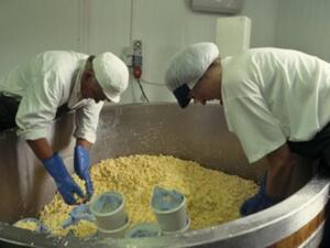 Nestlé, advocate of food safety