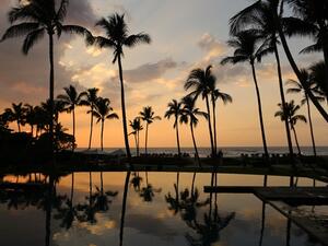 فنادق ومنتجعات فورسيزنز 